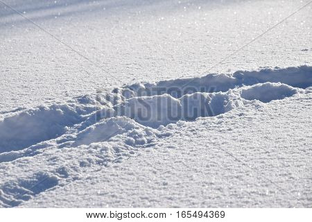 Human footprints in the snow. Winter time.