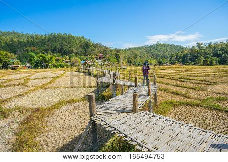 Long Bamboo Bridge in rice flied at Pai, Thailand