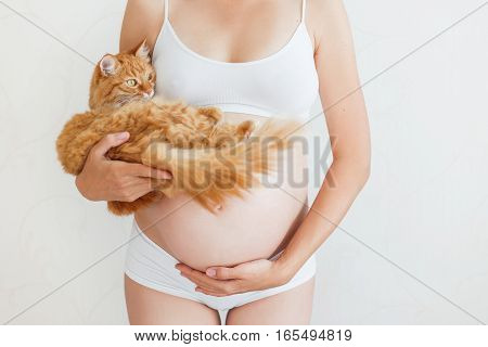 Pregnant woman in white underwear with cute ginger cat. Young woman expecting a baby. Risk of infection toxoplasmosis.
