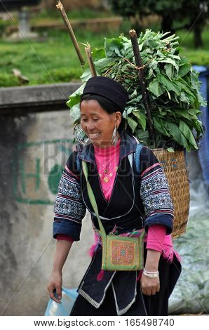 Hmong Woman (chinese Minority) In Sapa, Vietnam