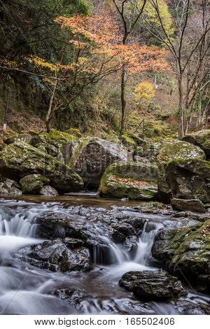 Beautiful in nature the Akame 48 waterfalls in autumn Mie Prefecture Japan