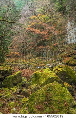 Beautiful in nature the Akame 48 waterfalls in autumn Mie Prefecture Japan