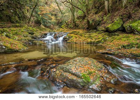 Beautiful in nature the Akame 48 waterfalls in autumn Mie Prefecture Japan