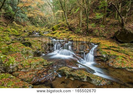 Beautiful in nature the Akame 48 waterfalls in autumn Mie Prefecture Japan