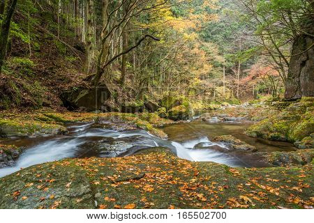Beautiful in nature the Akame 48 waterfalls in autumn Mie Prefecture Japan