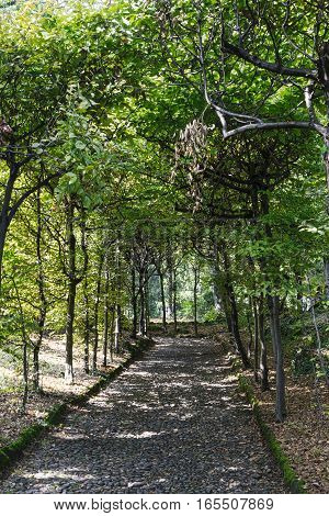 Varese (Lombardy Italy): Giardini degli Estensi historic park at october. Path