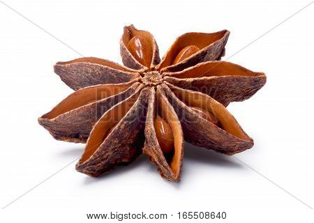 Single Star Anise (dried Ilicium Fruit), Paths
