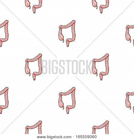 Human large intestine icon in cartoon style isolated on white background. Human organs symbol vector illustration.