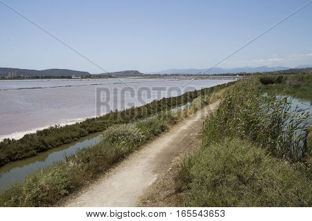 QUARTU S..E: Overview of the saline within the Molentargius Regional Park - Sardinia