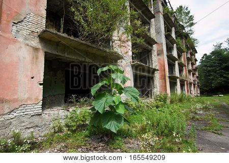 Abandoned house destroyed by war. Mining ghost-town Polyana, Abkhazia. Remnant of The Georgian-Abkhazian war