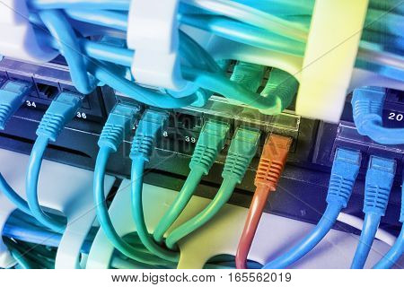 Server rack with blue and red internet patch cord cables connected to black patch panel in server room horizontal. Uniqueness concept