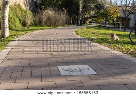 close-up of inverted Road sign on the cycleway, bikeway for cyclists only. Bike lane in the Turia River gardens in Valencia Spain