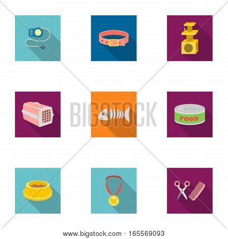 Cat equipment set icons in flat style. Big collection of cat equipment vector symbol stock