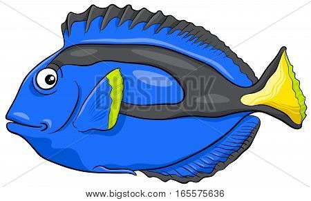 Blue Tang Fish Character