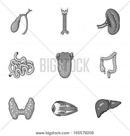 Human organs set icons in monochrome design. Big collection of human organs vector symbol stock illustration