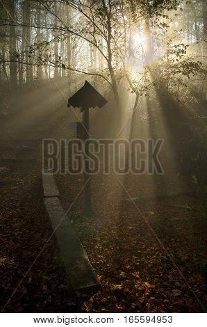 Fog in Pieniny mountains in sunrise light Poland