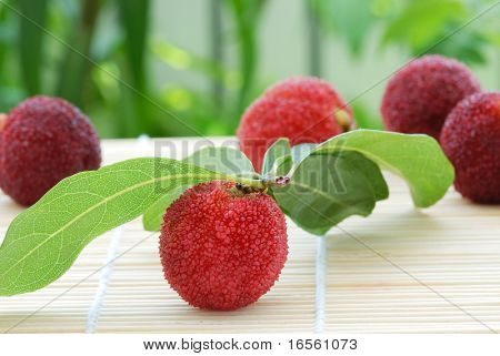 Grusza - Babyberry