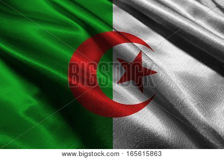 Algeria flag 3D illustration vertical bicolor symbol. Algeria flag background