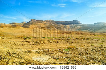 The Desert Landscape