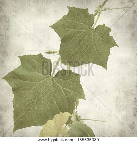 Textured Old Paper Background