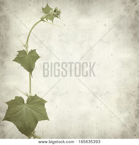 Textured Old Paper Background