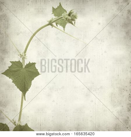 Textured Old Paper Background