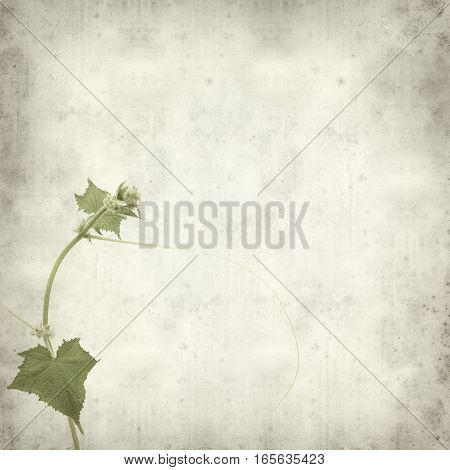 Textured Old Paper Background