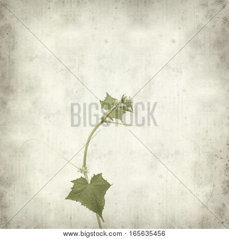 Textured Old Paper Background