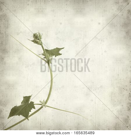 Textured Old Paper Background