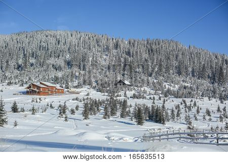 Snowy Valley With Trees And Vacation Houses In Carpatian Mountains On A Sunny Day