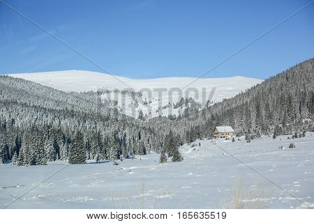 Snowy Valley With Trees And Vacation Houses In Carpatian Mountains On A Sunny Day