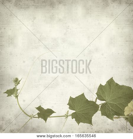 Textured Old Paper Background