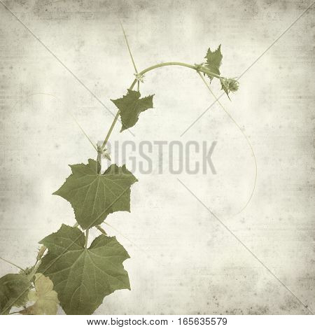 Textured Old Paper Background