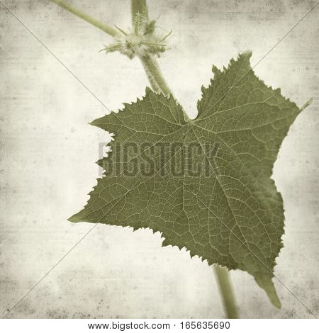 Textured Old Paper Background