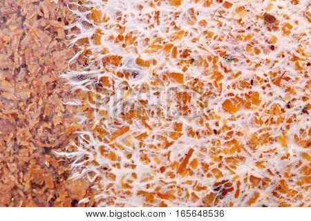 Art Of Infected Mushroom On Bag Of Bamboo Mushroom,texture