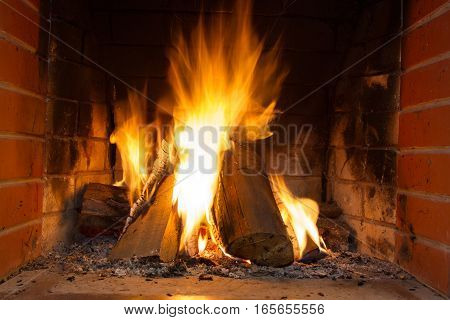 Burning firewood in the fireplace close up. Foto