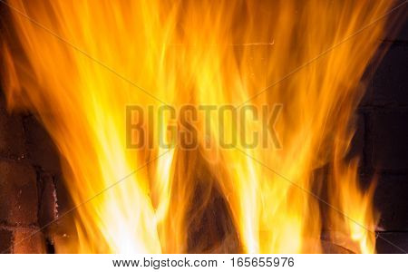 Flames of fire on a black background. Foto
