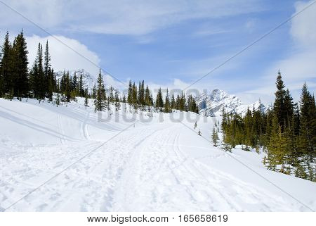 Trail to Peyto Lake in Canadian Rockies in Winter Alberta Canada