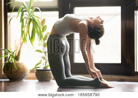 Young attractive woman practicing yoga, sitting in Ustrasana exercise, Camel pose, working out, wearing sportswear, grey pants, bra, indoor full length, home interior background, near potted plants