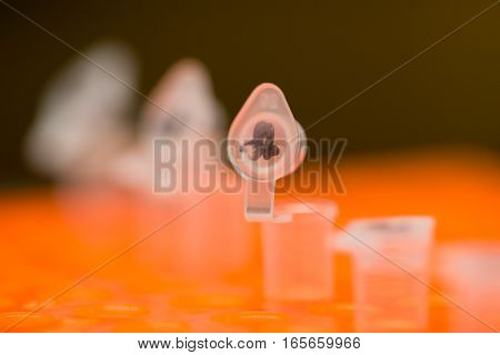 Close-up macro detail of a labeled polymerase chain reaction (PCR) tube with the lid open on an orange PCR plate with other tubes ready for amplification. Cancer and genetics concept.