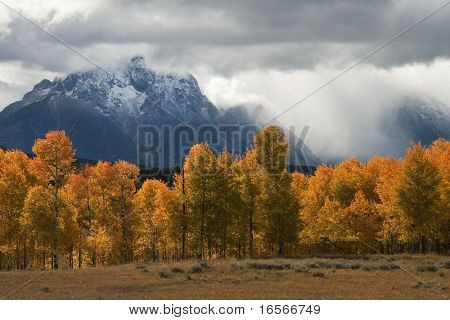Tormenta y Aspen sobre los Teutones
