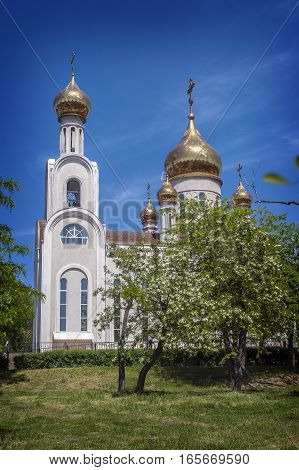 Church Dmitry Rostovsky - Orthodox church in Rostov -on-Don Russia . A bright day in May the sun glare on the gilded dome . Blossoming acacia