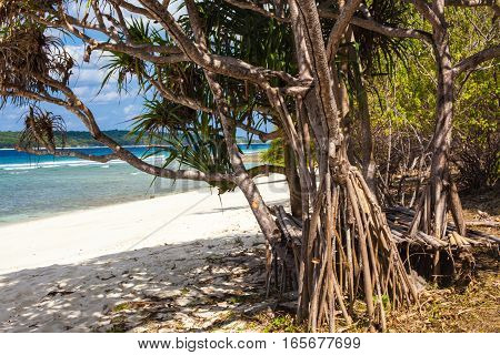 East Timor White Sand Beaches