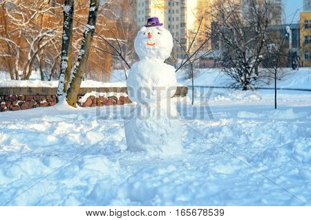Snowman with purple hat in city park