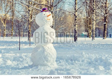 Snowman with purple hat in city park