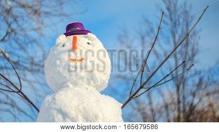 Snowman with purple hat against blue sky