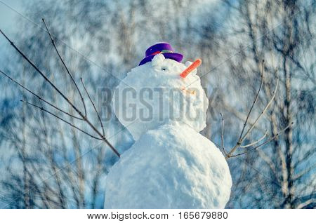 Snowman with purple hat against abstract outdor background