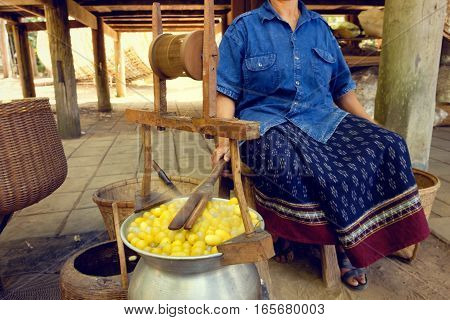 Boiled Silkworm Traditional Folkways In Thailand.
