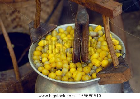 Boiled Silkworm Traditional Folkways In Thailand.