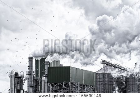Petrochemical plant in the Rotterdam harbor area